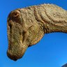 Fossil fans dug deep to decide dino should get Queensland nod