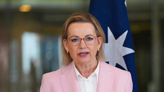 Sussan Ley speaks at a press conference.