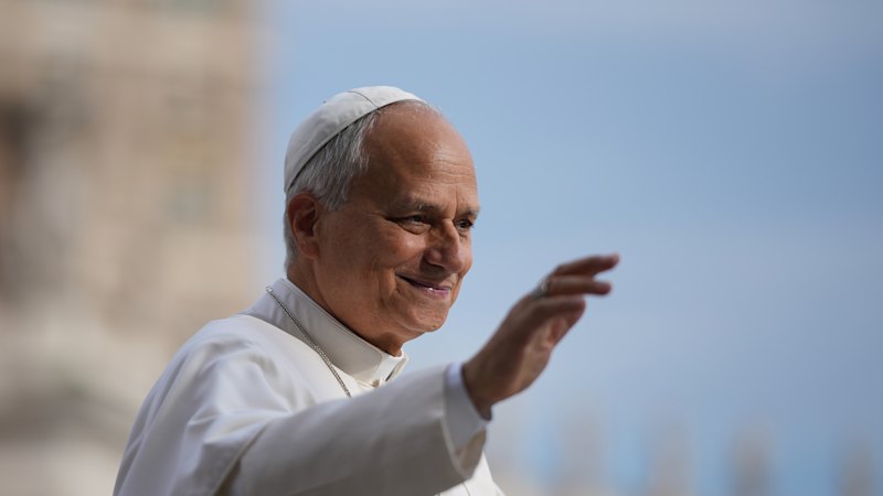 Pope Leo diagnosed with lung cancer, has surgery to remove part of organ