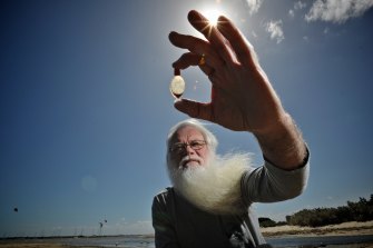 A fish-shaped soy sauce container from Port Phillip Bay.