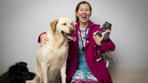 Dr Anne Fawcett with dogs Labrador Ned Notting, pomeranian cross maltese Archer Van Golde and italian greyhound Nino Thompson-Hunt.