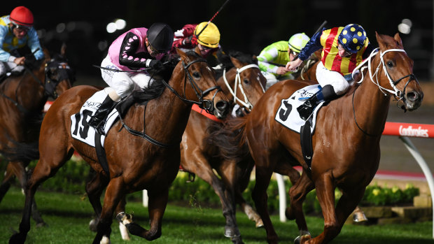 Nature Strip could be set for the Everest after winning to victory in the Moir Stakes at Moonee Valley last week.