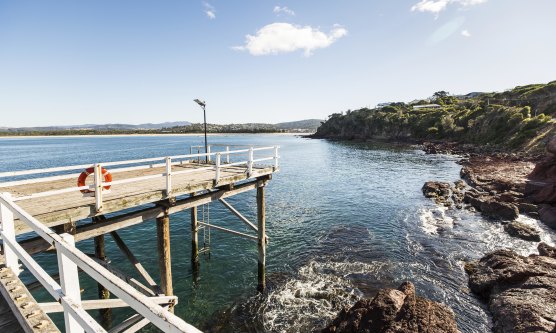 A woman was bitten by a shark at Main Beach in Merimbula on Saturday morning.