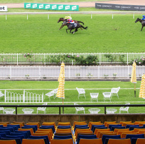 Empty seats greet Addeybb and Verry Elleegant's stirring duel in the Ranvet Stakes at Rosehill on Saturday.
