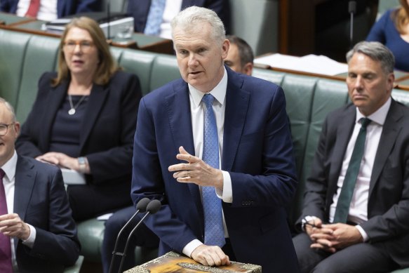 Leader of the House, Tony Burke, in question time today.