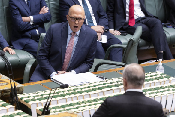 Opposition Leader Peter Dutton and Prime Minister Anthony Albanese during question time today.