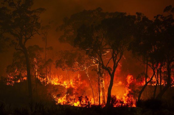 Bushfires reinforce the negative perception Australia is not pulling its weight on fighting climate change, says chief executive of the Committee for Sydney, Gabriel Metcalf.