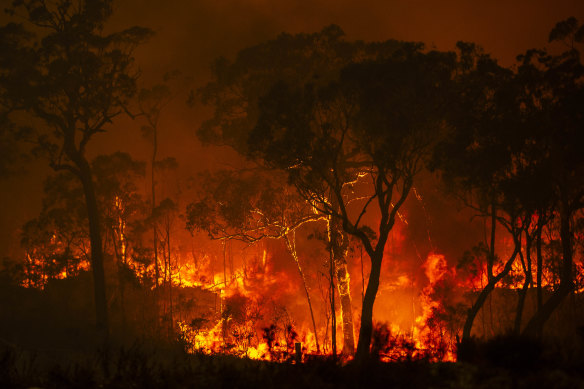 Soaring temperatures and gusty winds destroyed homes and bushland last weekend.