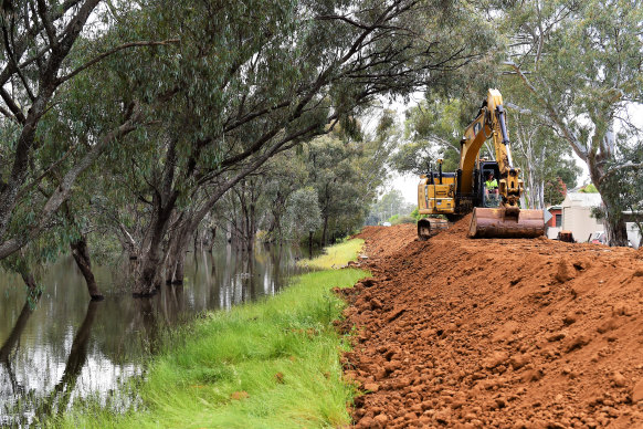A levee being constructed in Echuca this week.