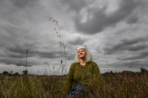 Ecologist Dr Megan O'Shea who has been studying and working in the regeneration of the grasslands, with Kangaroo grass in Pimelea remnant grasslands in Cairnlea.