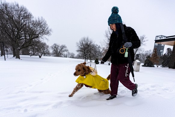 アーリントン在住のステファニー・ガードナーさんは日曜日、愛犬のマトリックスを散歩に連れて行った。