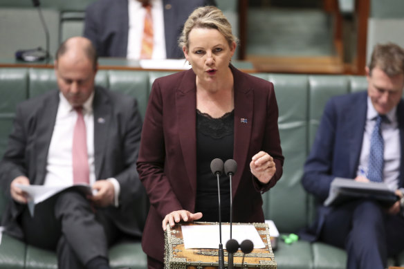 Environment Minister and MP for Farrer, Sussan Ley, in Parliament House in Canberra on Monday.