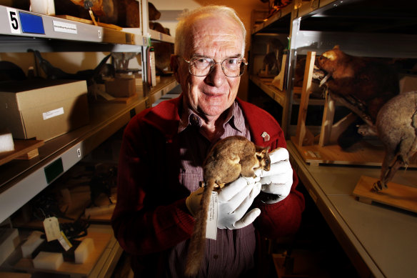 Wilkinson in 2011 inspecting a Leadbeater’s Possum specimen in the Melbourne Museum archives.