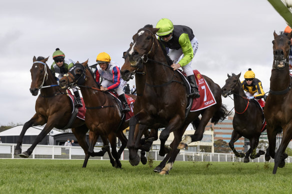 Incentivise (left), pictured here en route to victory in the Caulfield Cup, is favourite for the Melbourne Cup.