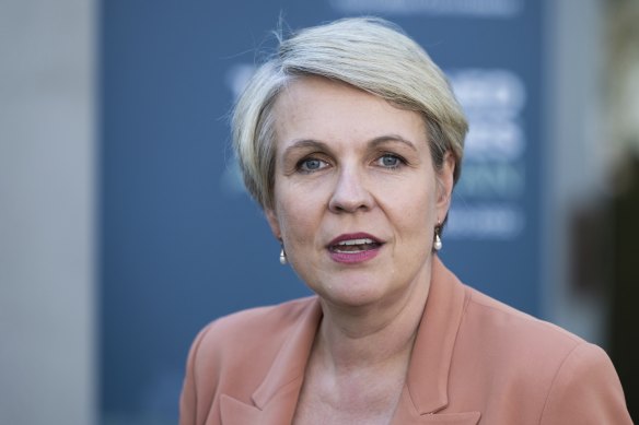 Environment Minister Tanya Plibersek has given the Walker Group 10 days to respond to her proposed rejection of the Toondah Harbour marina over internationally protected wetlands at Cleveland.