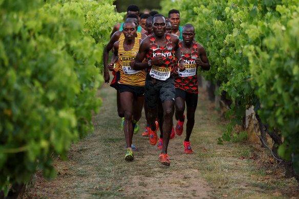 Reynold Kipkorir Cheruiyot of Team Kenya competes in the Men’s U20s race during the 2023 World Cross Country Championships.