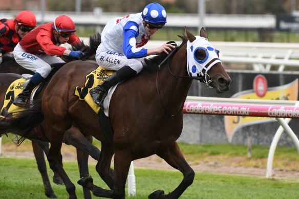 Group 1 winner Mr Quickie is one of a number of chances in Saturday’s Stradbroke Handicap.