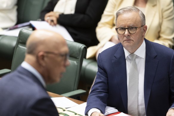 Prime Minister Anthony Albanese and Opposition leader Peter Dutton during Question Time.