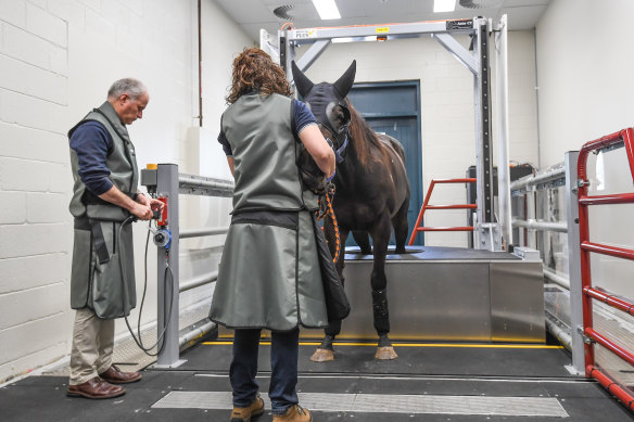 The CT scanner in action earlier this year, with Chris Whitton scanning a horse who will not be running in the spring carnival.