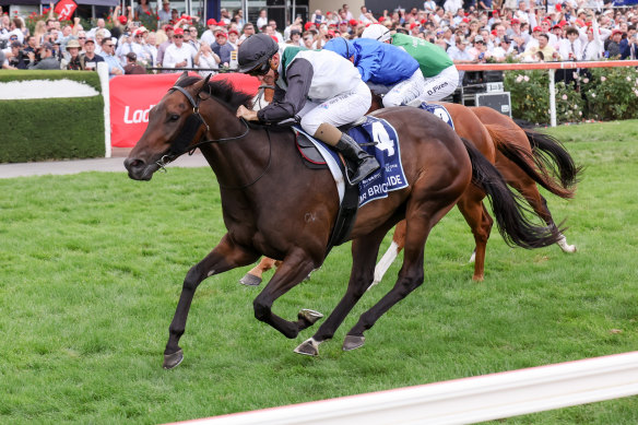 Mr Brightside (NZ) ridden by Luke Currie wins the All-Star Mile. 