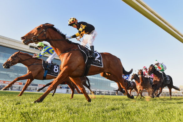 Behemoth and jockey Brett Prebble en route to victory. 