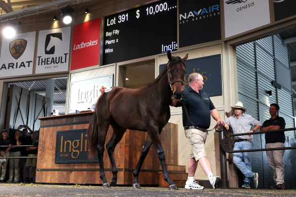 Winx’s filly fetched $10 million on Monday.