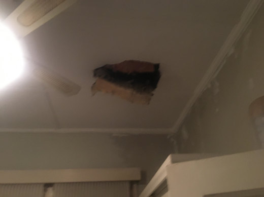 Two possums recently fell through this hole in the ceiling of a Thornbury house.