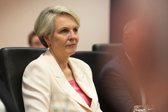Social Services Minister Tanya Plibersek.