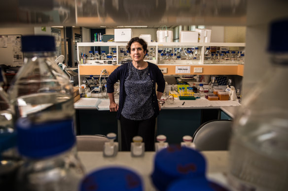 Professor Jennifer Byrne, a cancer expert and research integrity sleuth at the University of Sydney.