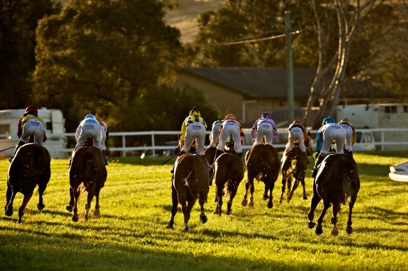 Muswellbrook will host a seven-race card on Monday.
