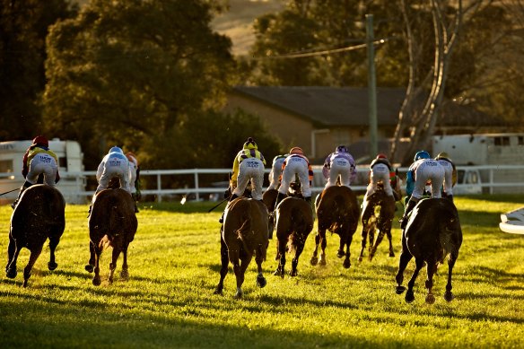 Racing heads to Muswellbrook on Thursday.