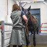 Second million-dollar horse scanner to be used for spare parts