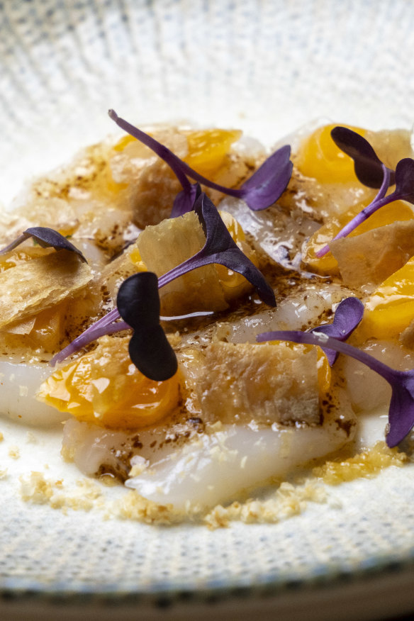 Raw scallops with chicken skin.
