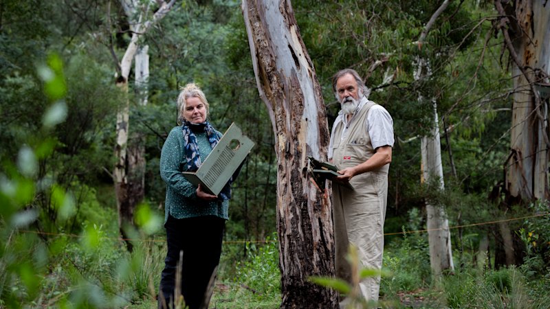 Fears poachers have taken sugar gliders and bats from Darebin Parklands