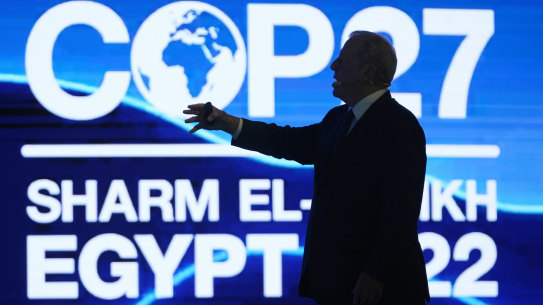 Former US vice president Al Gore speaks at the COP27 UN Climate Summit in Sharm el-Sheikh, Egypt.