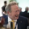 Andrew Forrest is delighted with the federal budget