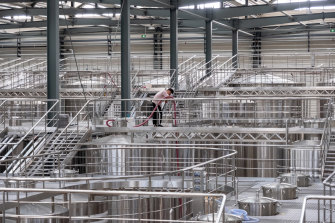 A worker of the Xige Estate monitors fermentation facilities. 