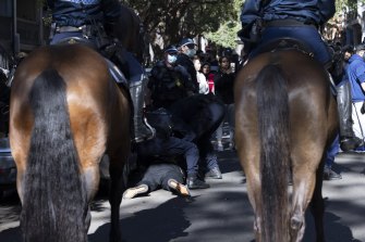 Police clash with protesters in Chippendale.