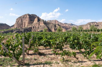 The Baojialong Vineyard has struggled to say afloat despite favourable conditions. 