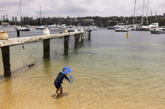 Swimmers hoping to cool off in coastal estuaries around NSW will be able to access water quality data. 
