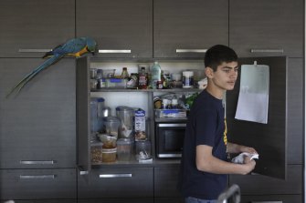 Luca Gittany at home with his Blue and Gold Macaw. 