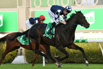 Russian Camelot showed his quality and Melbourne Cup potential with victory in the South Australian Derby on Saturday. 