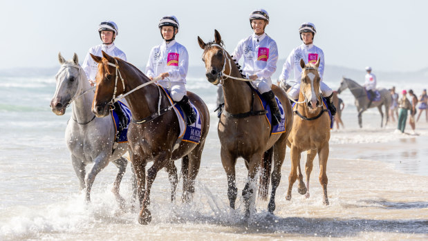 Horses on the beach for the Magic Millions promotion before Tuesday’s barrier draw.