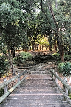 A hidden treasure smack bang in the CBD. John Oldham Park truly is one of Perth's best kept secrets.