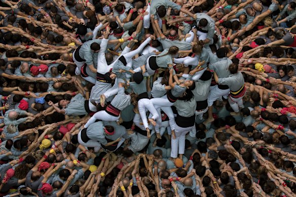 Castellers compete to build the biggest human towers ... sometimes this goes spectacularly wrong.