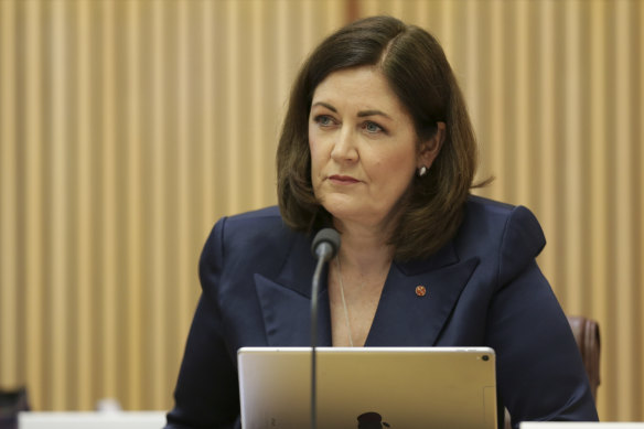 Senator Sarah Henderson in 2020.