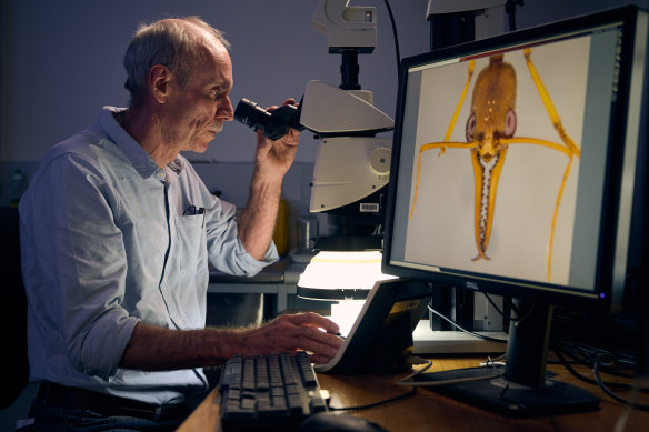 Senior curator Dr Ken Walker is also  working on the exhibition. 