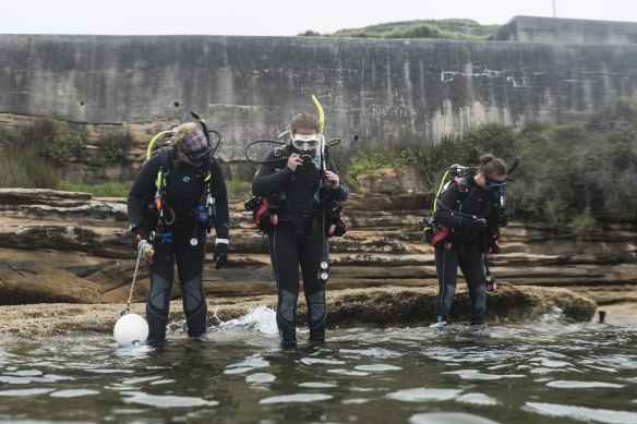Instructor Alison Farrell, left, from Abyss Scuba Diving, takes a class at Bare Island in La Perouse. 