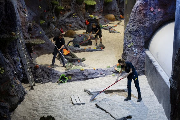 Around 34 tonnes of fresh sand was raked into the bottom of the oceanarium before it was refilled.