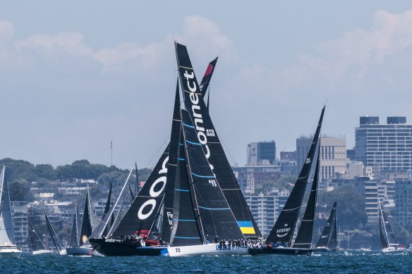 Andoo Comanche and LawConnect cross paths during the chaotic start on Sydney harbour.